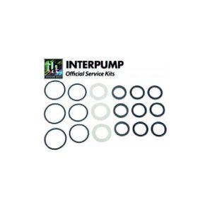 Interpump Service/Repair Kit 118