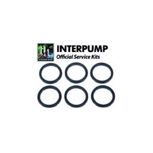Interpump Service/Repair Kit 129