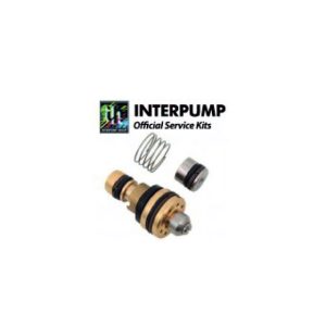 Interpump Service/Repair Kit 137