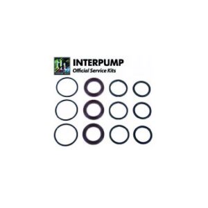 Interpump Service/Repair Kit 141